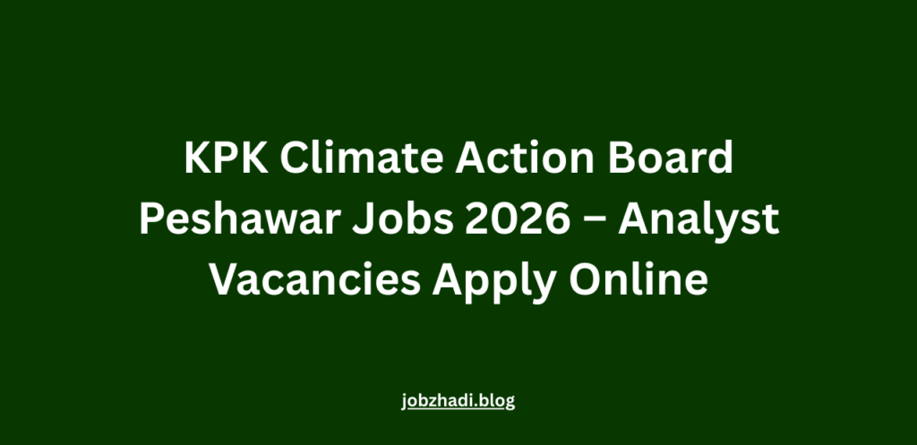 KPK Climate Action Board Peshawar Jobs 2026 – Analyst Vacancies Apply Online