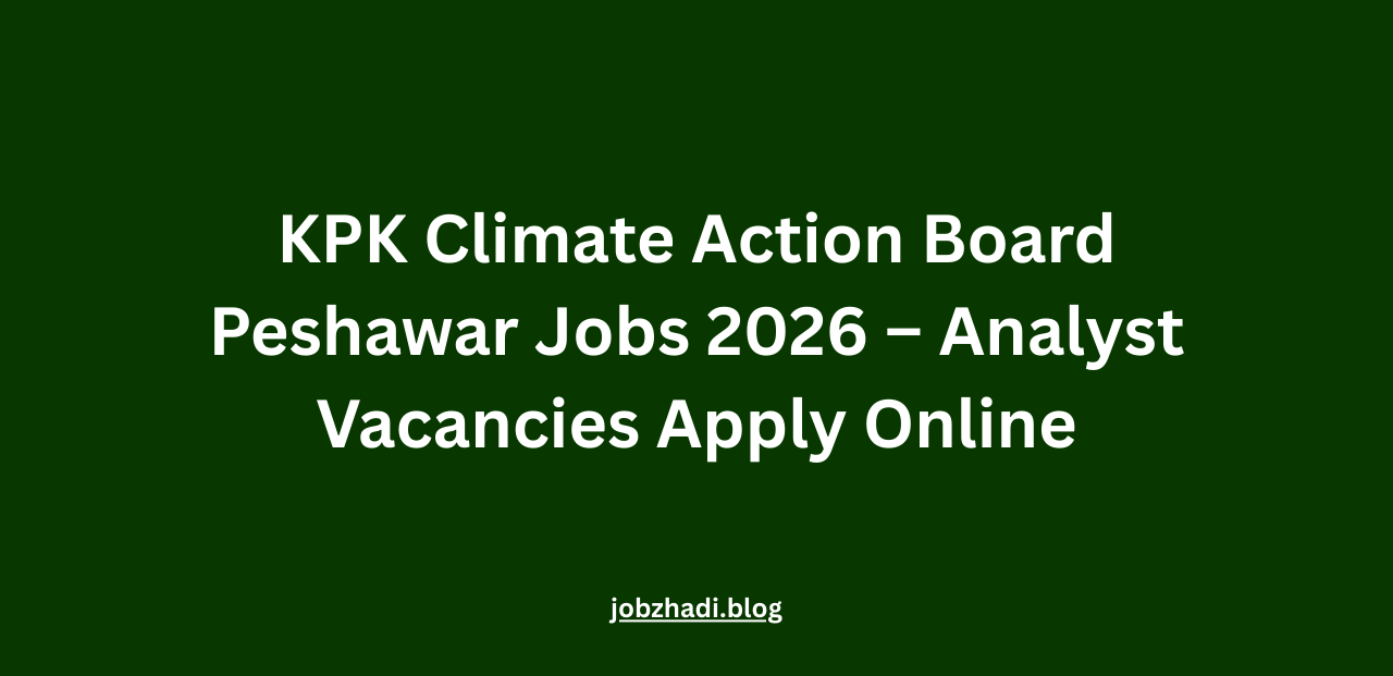 KPK Climate Action Board Peshawar Jobs 2026 – Analyst Vacancies Apply Online